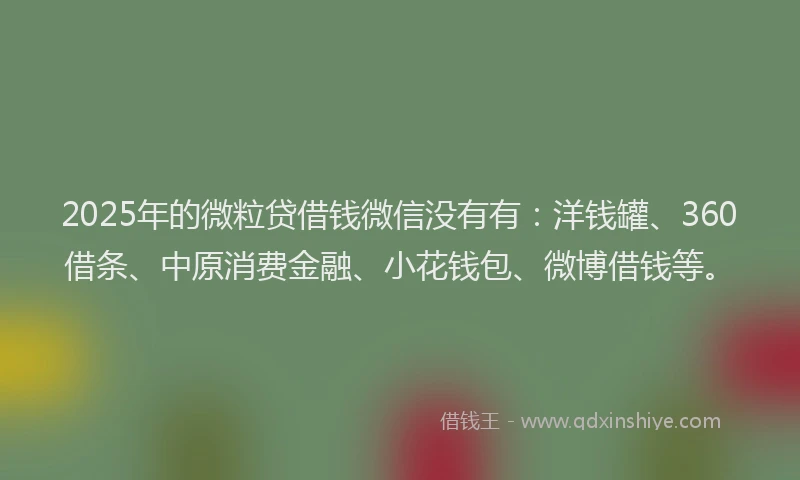 2025年的微粒贷借钱微信没有有：洋钱罐、360借条、中原消费金融、小花钱包、微博借钱等。