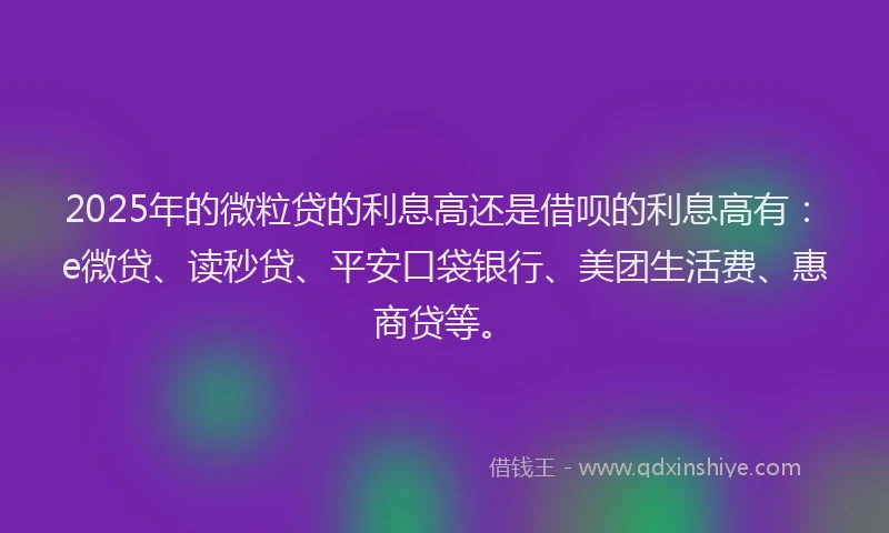 2025年的微粒贷的利息高还是借呗的利息高有：e微贷、读秒贷、平安口袋银行、美团生活费、惠商贷等。