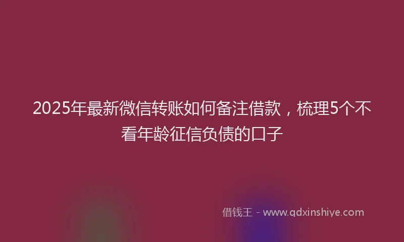2025年最新微信转账如何备注借款，梳理5个不看年龄征信负债的口子