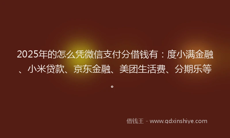 2025年的怎么凭微信支付分借钱有：度小满金融、小米贷款、京东金融、美团生活费、分期乐等。