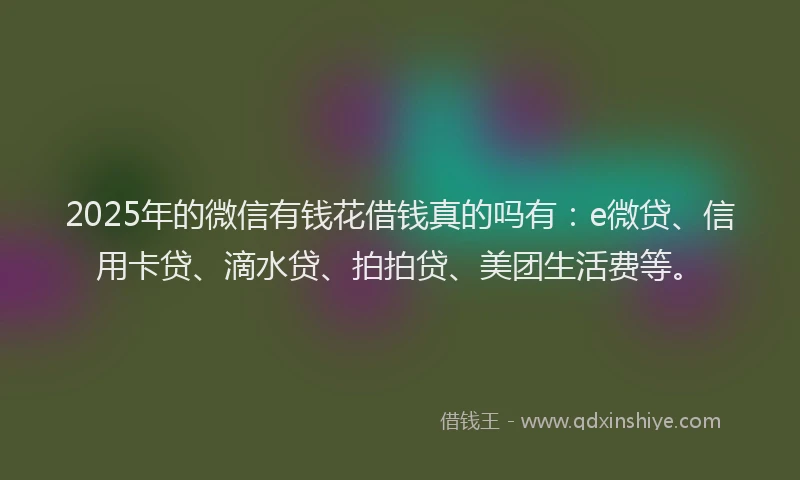 2025年的微信有钱花借钱真的吗有：e微贷、信用卡贷、滴水贷、拍拍贷、美团生活费等。