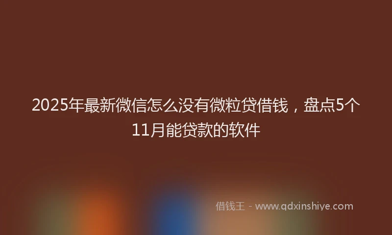2025年最新微信怎么没有微粒贷借钱，盘点5个11月能贷款的软件