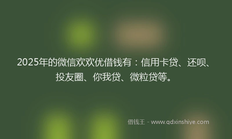 2025年的微信欢欢优借钱有：信用卡贷、还呗、投友圈、你我贷、微粒贷等。