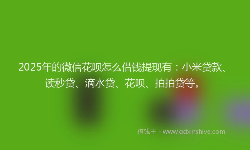 2025年的微信花呗怎么借钱提现有：小米贷款、读秒贷、滴水贷、花呗、拍拍贷等。