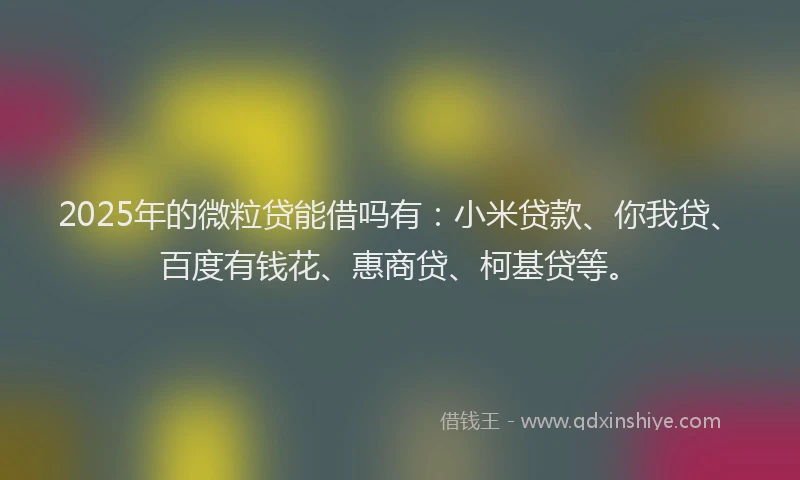 2025年的微粒贷能借吗有：小米贷款、你我贷、百度有钱花、惠商贷、柯基贷等。