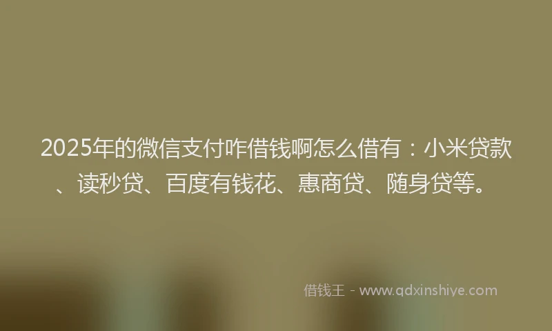 2025年的微信支付咋借钱啊怎么借有：小米贷款、读秒贷、百度有钱花、惠商贷、随身贷等。