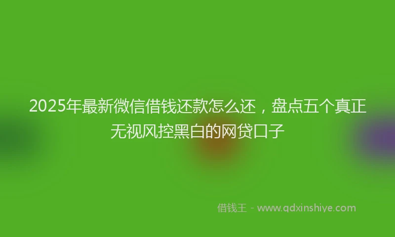 2025年最新微信借钱还款怎么还，盘点五个真正无视风控黑白的网贷口子