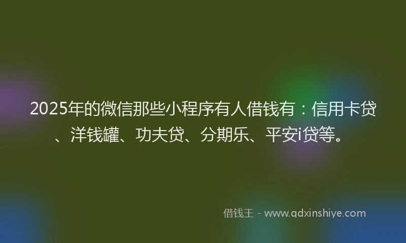 2025年的微信那些小程序有人借钱有：信用卡贷、洋钱罐、功夫贷、分期乐、平安i贷等。