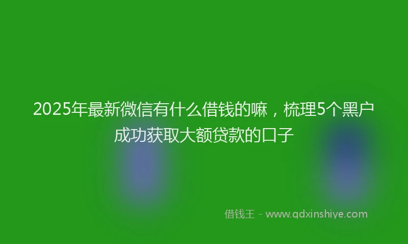 2025年最新微信有什么借钱的嘛，梳理5个黑户成功获取大额贷款的口子
