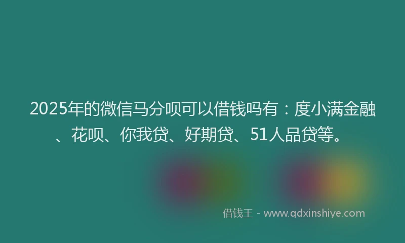 2025年的微信马分呗可以借钱吗有：度小满金融、花呗、你我贷、好期贷、51人品贷等。