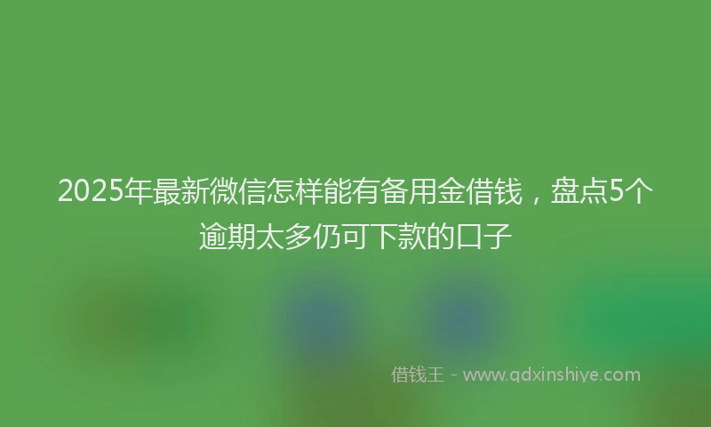 2025年最新微信怎样能有备用金借钱，盘点5个逾期太多仍可下款的口子