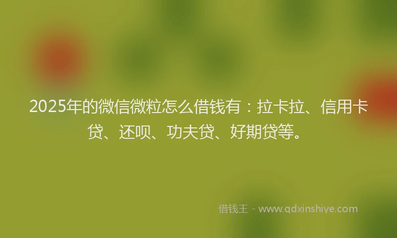 2025年的微信微粒怎么借钱有：拉卡拉、信用卡贷、还呗、功夫贷、好期贷等。