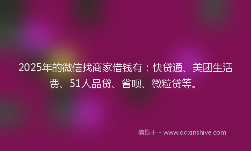2025年的微信找商家借钱有：快贷通、美团生活费、51人品贷、省呗、微粒贷等。