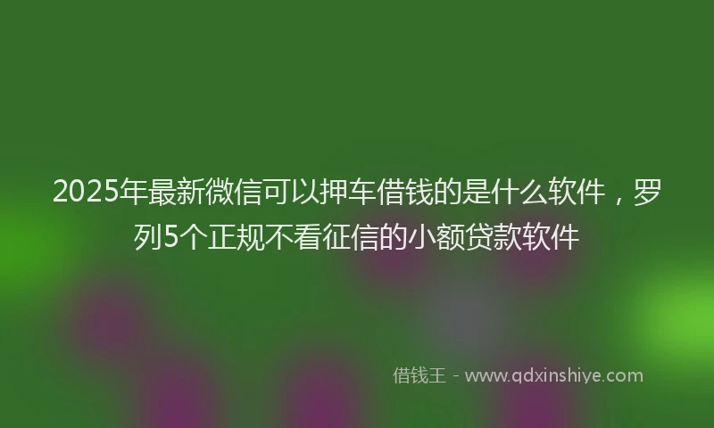 2025年最新微信可以押车借钱的是什么软件，罗列5个正规不看征信的小额贷款软件