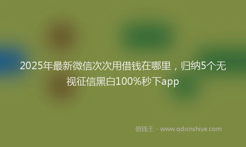 2025年最新微信次次用借钱在哪里，归纳5个无视征信黑白100%秒下app