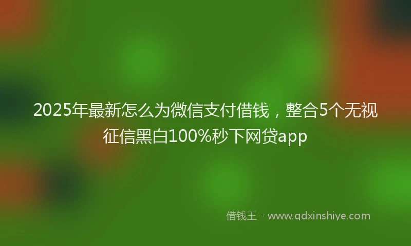 2025年最新怎么为微信支付借钱，整合5个无视征信黑白100%秒下网贷app