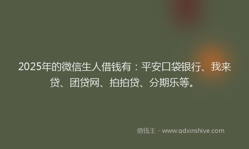 2025年的微信生人借钱有：平安口袋银行、我来贷、团贷网、拍拍贷、分期乐等。