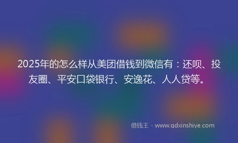 2025年的怎么样从美团借钱到微信有：还呗、投友圈、平安口袋银行、安逸花、人人贷等。