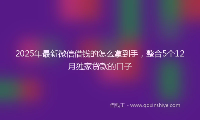 2025年最新微信借钱的怎么拿到手，整合5个12月独家贷款的口子