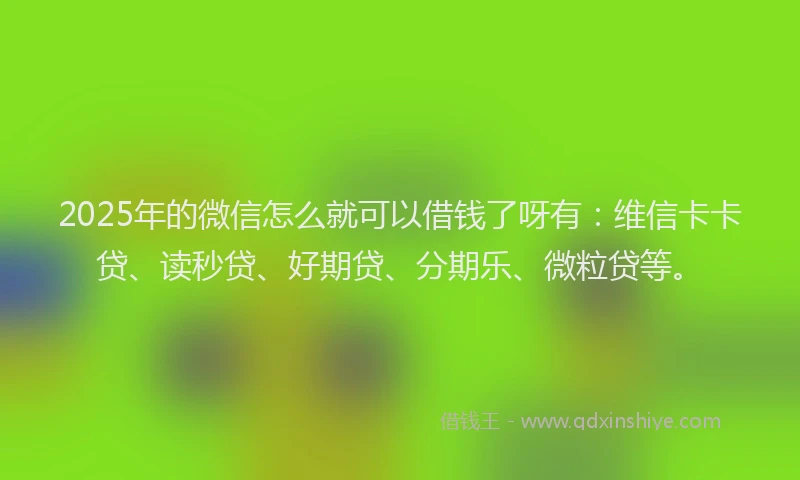 2025年的微信怎么就可以借钱了呀有：维信卡卡贷、读秒贷、好期贷、分期乐、微粒贷等。