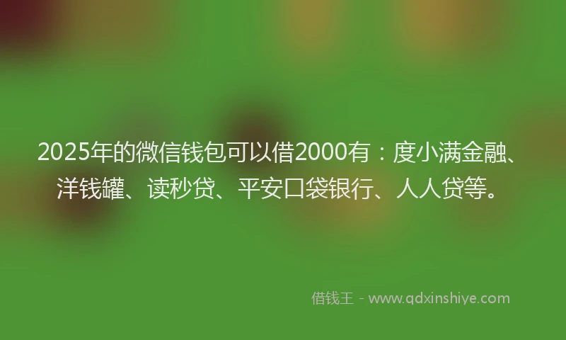 2025年的微信钱包可以借2000有：度小满金融、洋钱罐、读秒贷、平安口袋银行、人人贷等。