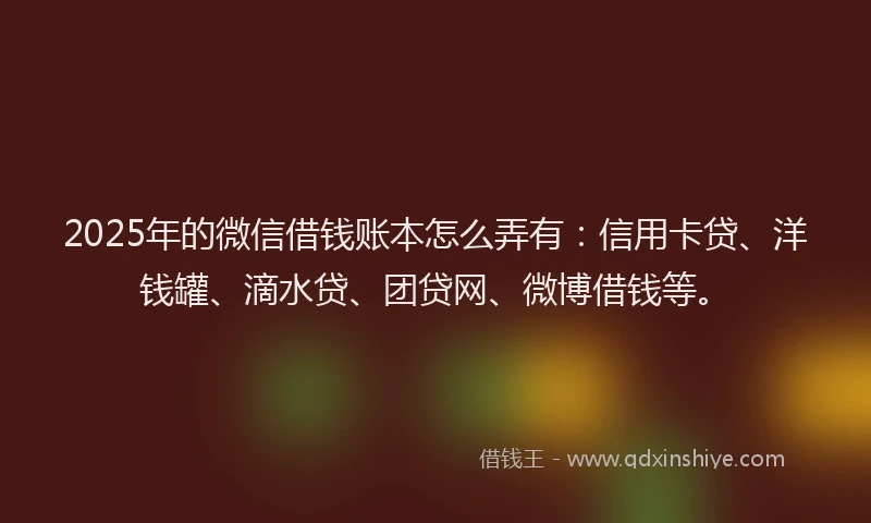 2025年的微信借钱账本怎么弄有：信用卡贷、洋钱罐、滴水贷、团贷网、微博借钱等。