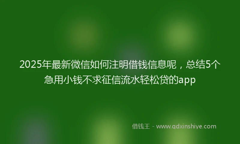 2025年最新微信如何注明借钱信息呢，总结5个急用小钱不求征信流水轻松贷的app