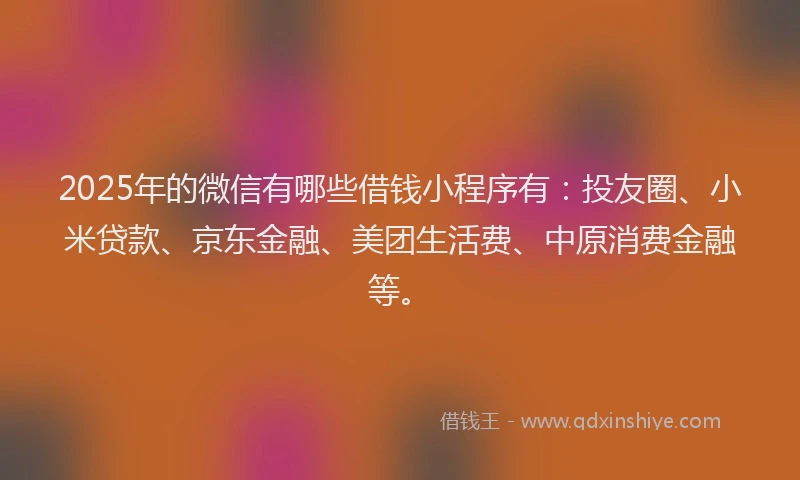2025年的微信有哪些借钱小程序有：投友圈、小米贷款、京东金融、美团生活费、中原消费金融等。