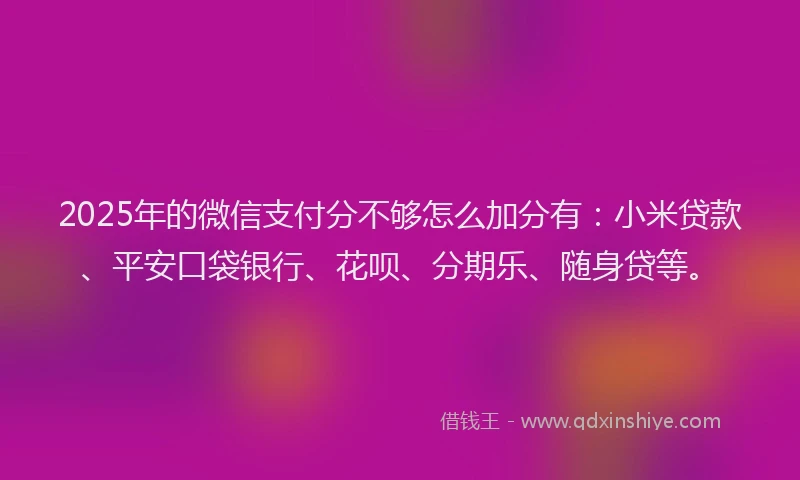 2025年的微信支付分不够怎么加分有：小米贷款、平安口袋银行、花呗、分期乐、随身贷等。