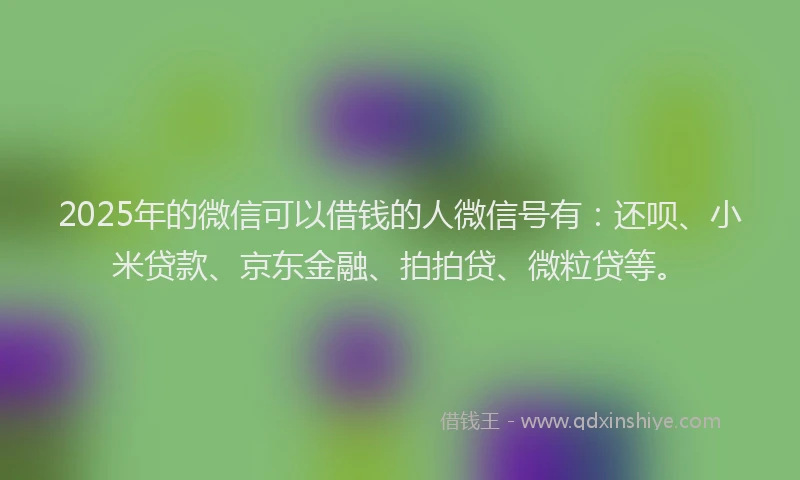 2025年的微信可以借钱的人微信号有：还呗、小米贷款、京东金融、拍拍贷、微粒贷等。