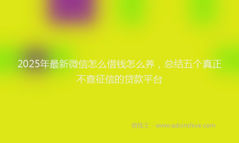2025年最新微信怎么借钱怎么养，总结五个真正不查征信的贷款平台