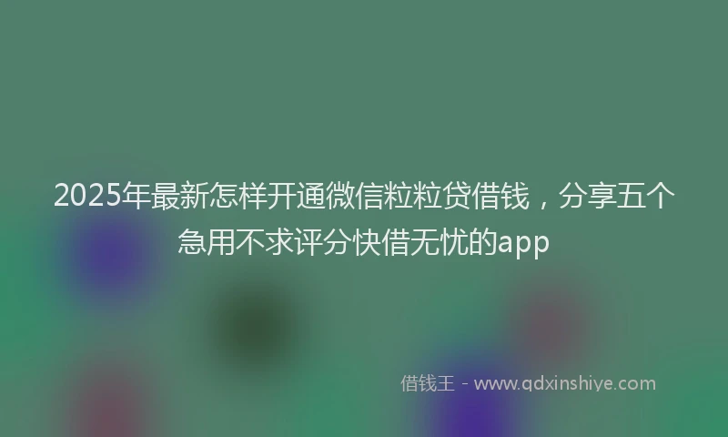 2025年最新怎样开通微信粒粒贷借钱，分享五个急用不求评分快借无忧的app