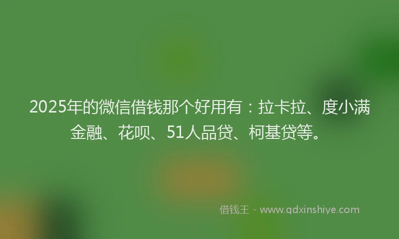 2025年的微信借钱那个好用有：拉卡拉、度小满金融、花呗、51人品贷、柯基贷等。