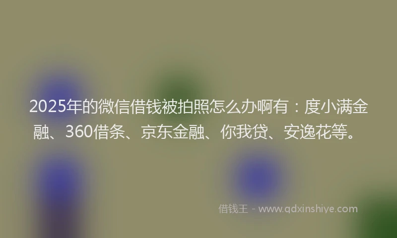 2025年的微信借钱被拍照怎么办啊有：度小满金融、360借条、京东金融、你我贷、安逸花等。