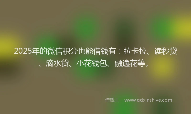 2025年的微信积分也能借钱有：拉卡拉、读秒贷、滴水贷、小花钱包、融逸花等。