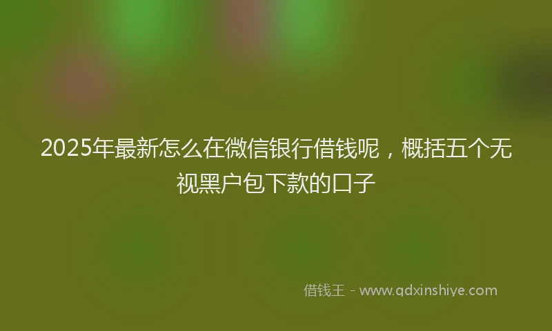 2025年最新怎么在微信银行借钱呢，概括五个无视黑户包下款的口子