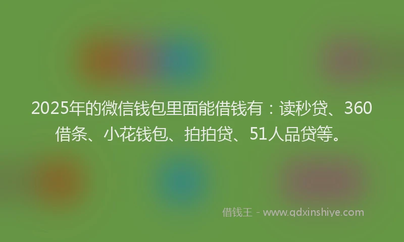 2025年的微信钱包里面能借钱有：读秒贷、360借条、小花钱包、拍拍贷、51人品贷等。