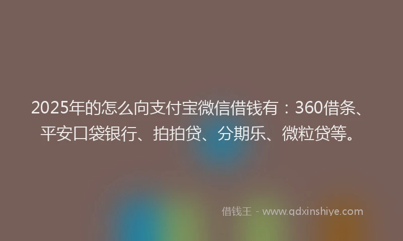 2025年的怎么向支付宝微信借钱有：360借条、平安口袋银行、拍拍贷、分期乐、微粒贷等。