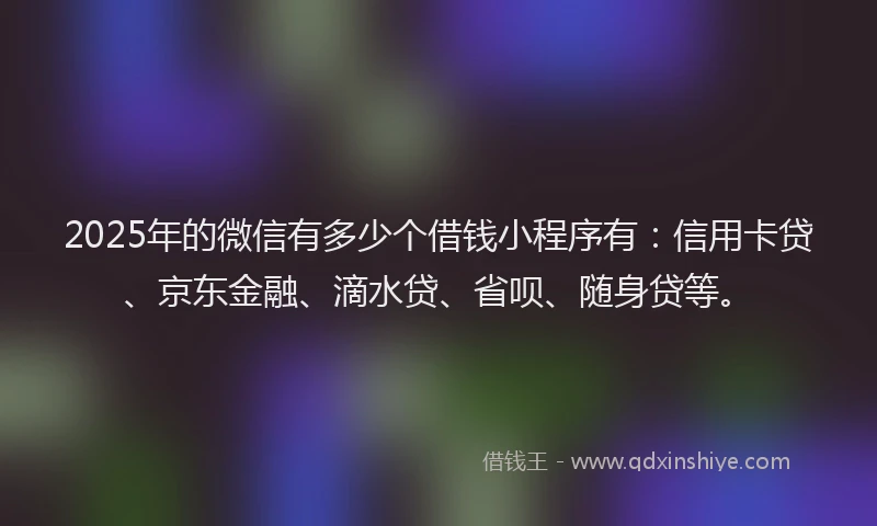2025年的微信有多少个借钱小程序有：信用卡贷、京东金融、滴水贷、省呗、随身贷等。