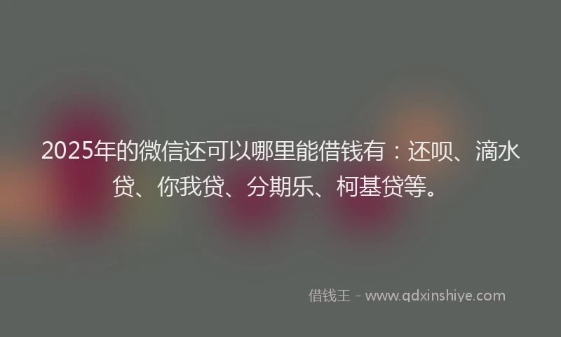 2025年的微信还可以哪里能借钱有：还呗、滴水贷、你我贷、分期乐、柯基贷等。