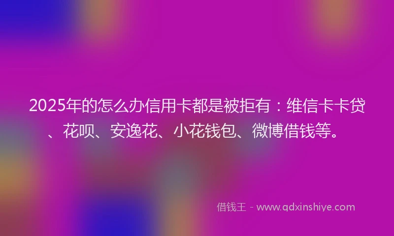 2025年的怎么办信用卡都是被拒有：维信卡卡贷、花呗、安逸花、小花钱包、微博借钱等。