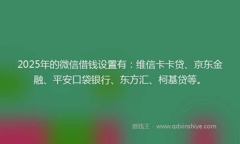 2025年的微信借钱设置有：维信卡卡贷、京东金融、平安口袋银行、东方汇、柯基贷等。