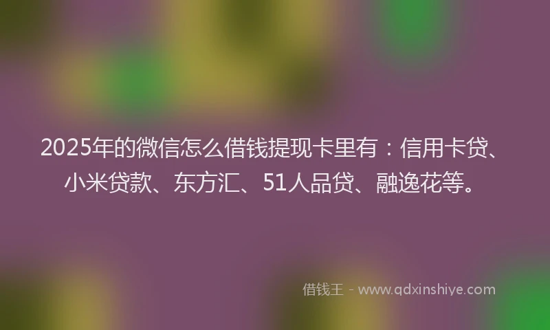 2025年的微信怎么借钱提现卡里有：信用卡贷、小米贷款、东方汇、51人品贷、融逸花等。