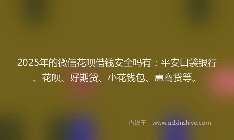 2025年的微信花呗借钱安全吗有：平安口袋银行、花呗、好期贷、小花钱包、惠商贷等。