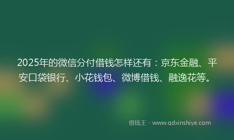 2025年的微信分付借钱怎样还有：京东金融、平安口袋银行、小花钱包、微博借钱、融逸花等。