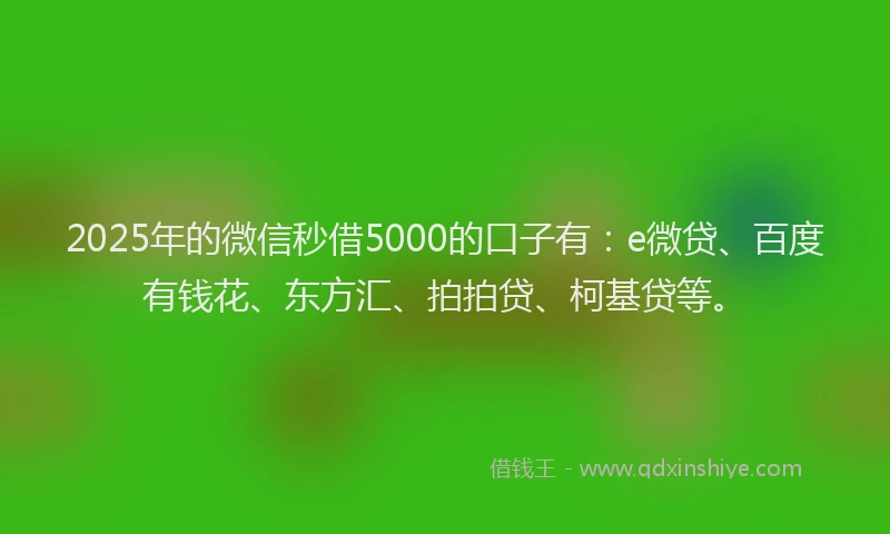 2025年的微信秒借5000的口子有：e微贷、百度有钱花、东方汇、拍拍贷、柯基贷等。