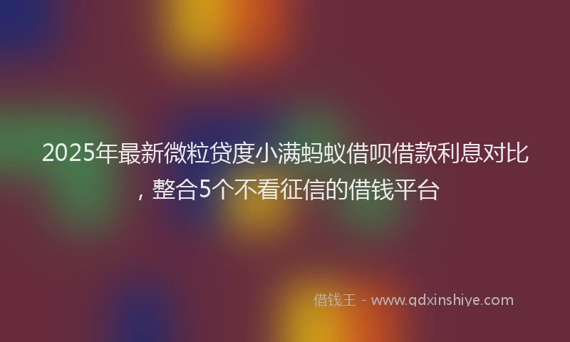 2025年最新微粒贷度小满蚂蚁借呗借款利息对比，整合5个不看征信的借钱平台
