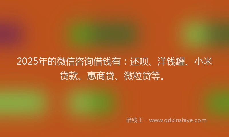 2025年的微信咨询借钱有：还呗、洋钱罐、小米贷款、惠商贷、微粒贷等。