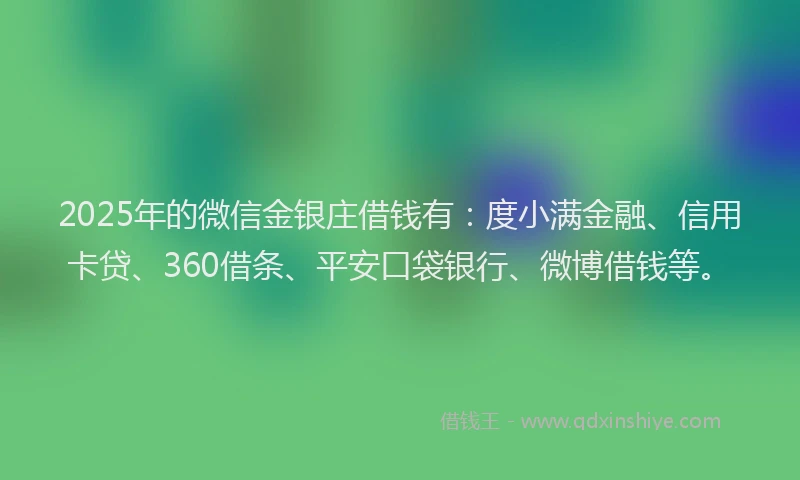 2025年的微信金银庄借钱有：度小满金融、信用卡贷、360借条、平安口袋银行、微博借钱等。