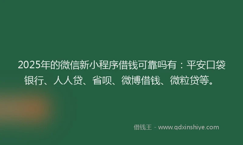 2025年的微信新小程序借钱可靠吗有：平安口袋银行、人人贷、省呗、微博借钱、微粒贷等。